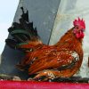 Mille Fleur d'Uccle Bantam - Image 2