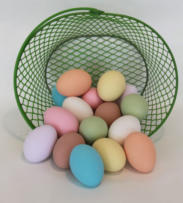 Ceramic Eggs