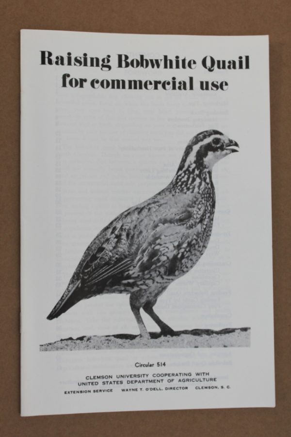 Raising Bobwhite Quail For Commercial Use