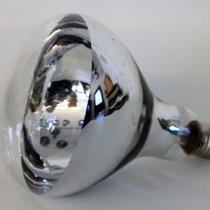 CLEAR HEAT BULB