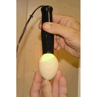 Egg Tester Candler Plans DIY Ovoscope For Hatching Eggs – The Best