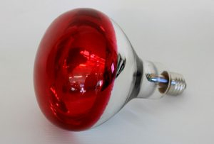 RED HEAT BULB