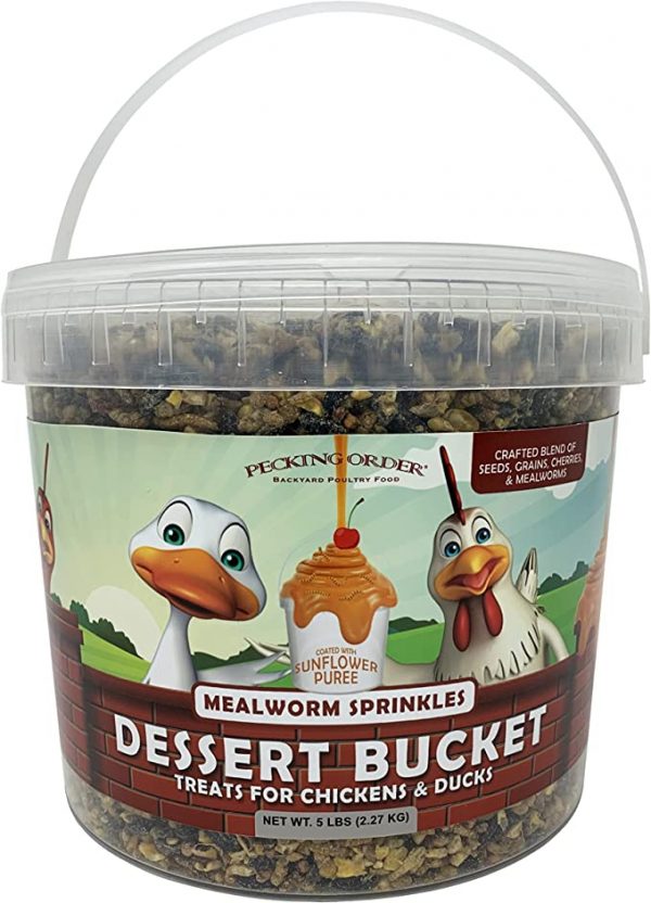 Dessert Bucket