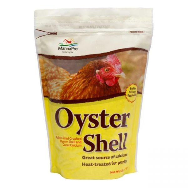 Oyster Shell