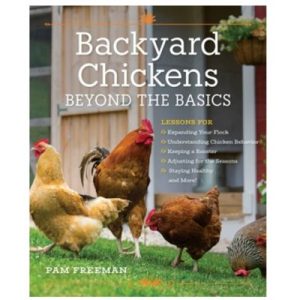Backyard Chickens-Beyond The Basics