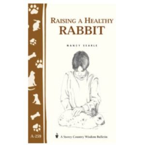 Raising A Healthy Rabbit