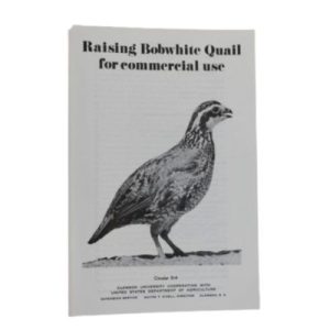 Raising Bobwhite Quail For Commercial Use