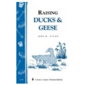 Raising Ducks and Geese
