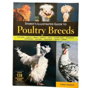 Illustrated Guide To Poultry Breeds
