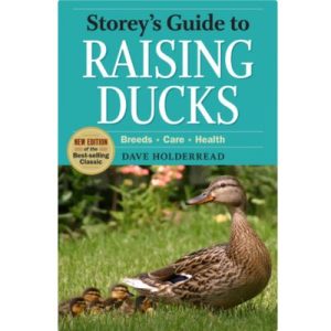 Raising Ducks