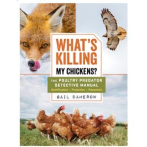 What's Killing My Chickens