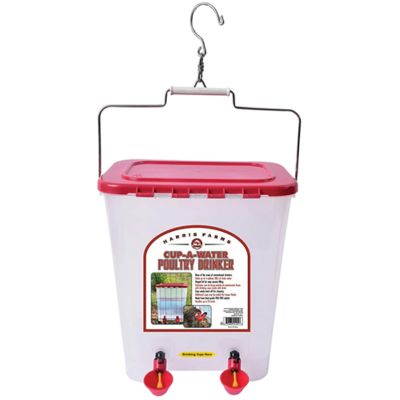 4 Gallon Cup Poultry Drinker