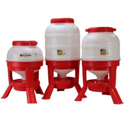 Plastic Dome Feeders