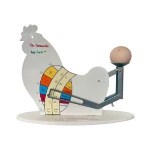 Egg Scale