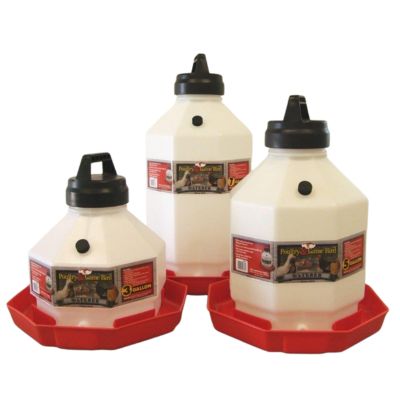 Little Giant Plastic Waterers